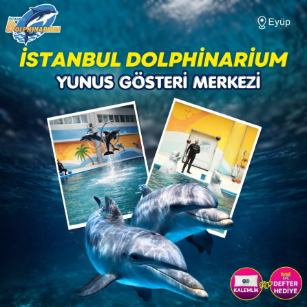 İstanbul Dolphinarium Gösteri Biletileri